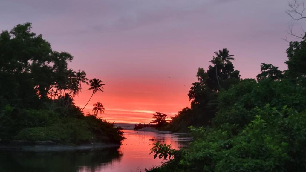 Tripsea Beach Villa Alappuzha Bagian luar foto